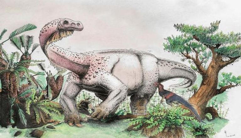 رسم للديناصور  الضخم المكتشف
