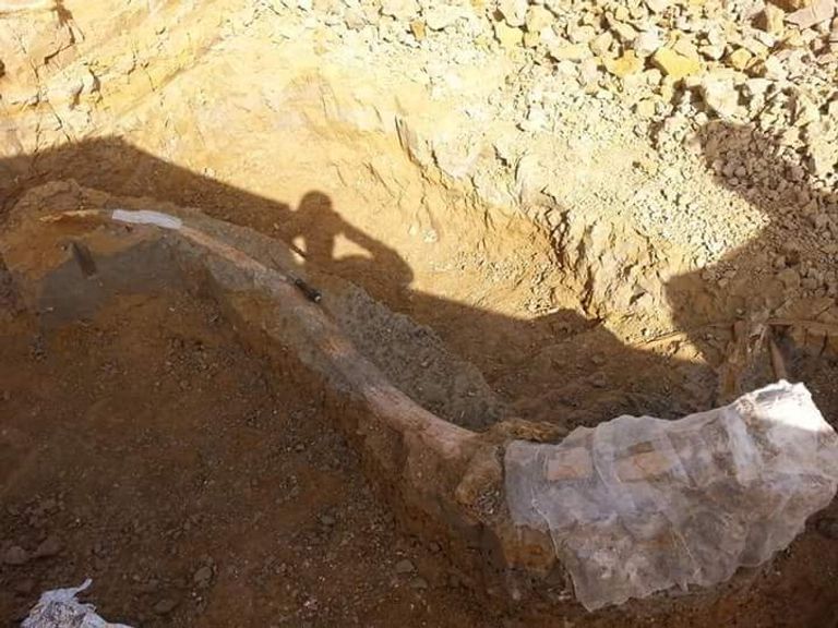 آثار سطيف جزائريون يلقبون 2018 بـ"عام الكوارث" - أرشيفية