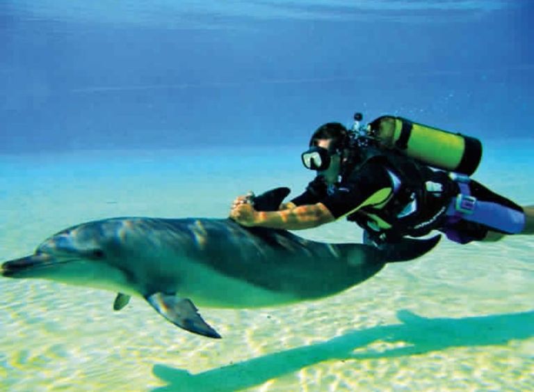 أماكن ساحرة في دبي