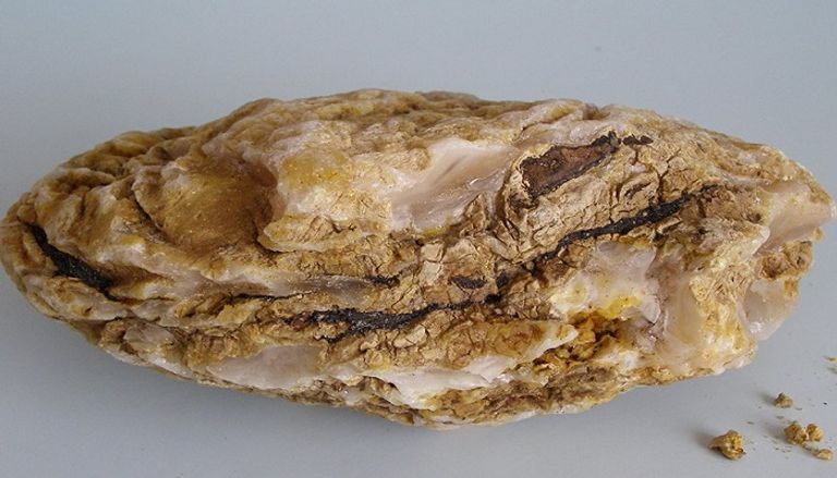 مكونات عريبة لا تخطر على البال - صورة أرشيفية