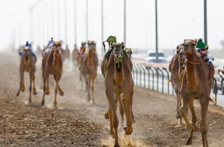 10 فعاليات ترفيهية وفنية ورياضية بدبي في يناير.. صورة أرشيفية