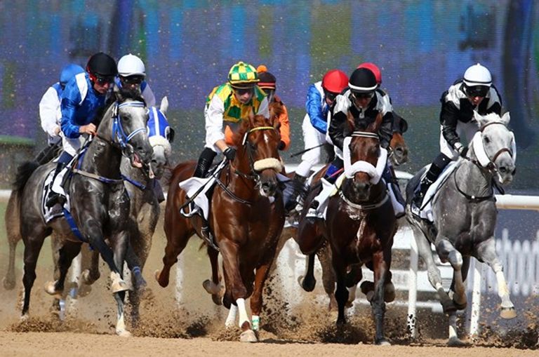 10 فعاليات ترفيهية وفنية ورياضية بدبي في يناير.. صورة أرشيفية