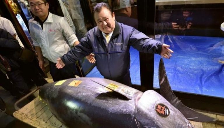 كيوشي كيمورا أمام سمكة التونة الضخمة