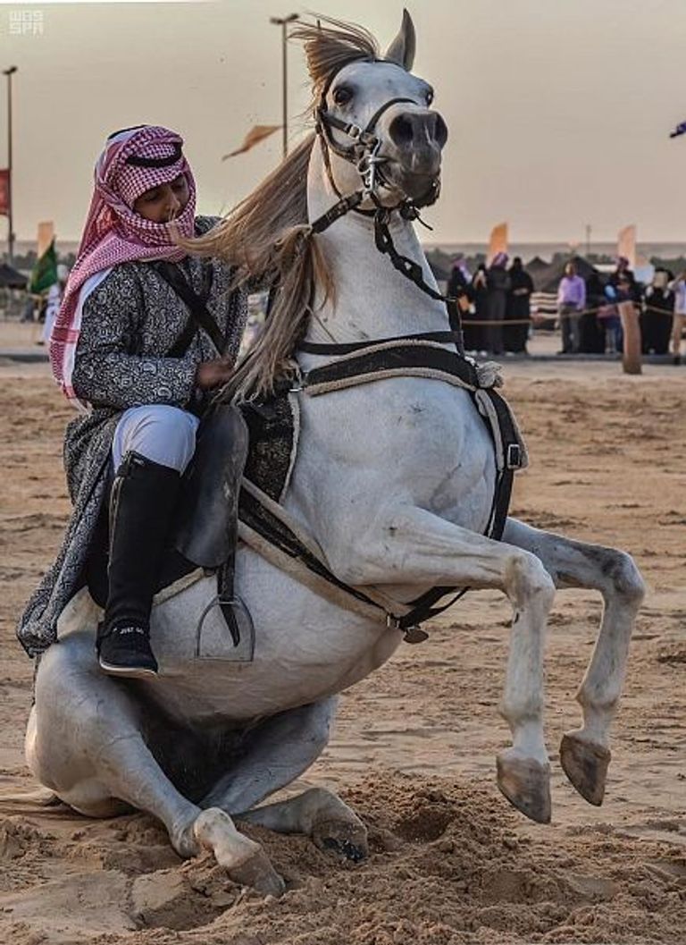 مهرجان سفاري بقيق لتراث الصحراء يختتم فعالياته