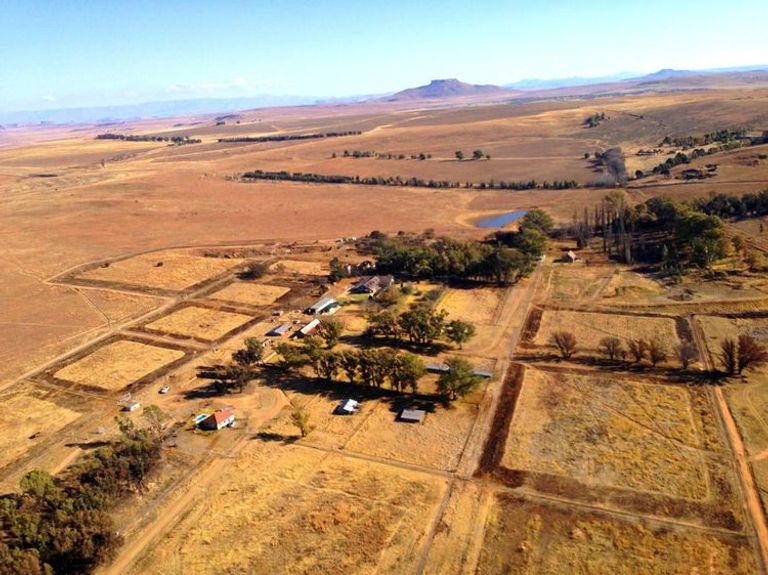 الفندق محاط ببعض الأسود