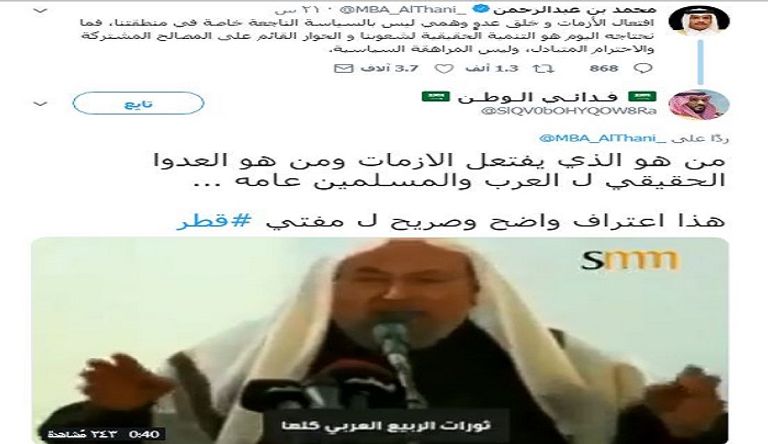 تنظيم الحمدين راعي الإرهاب في عدة دول عربية