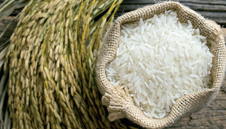 تطوير بذور مستنسخة من الأرز الهجين في الصين - صورة أرشيفية