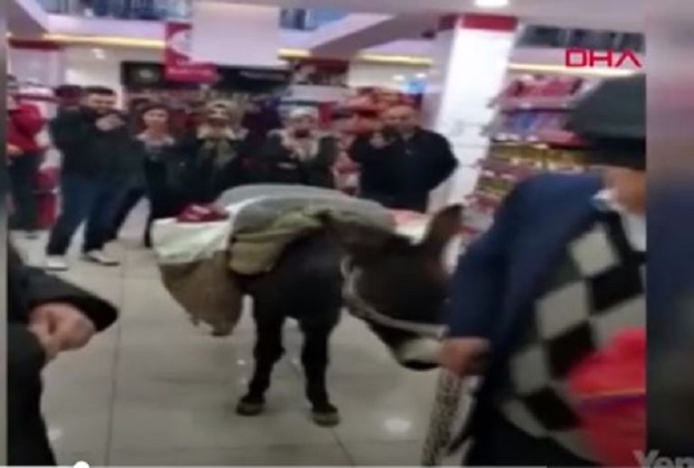 صورة من مقطع الفيديو 