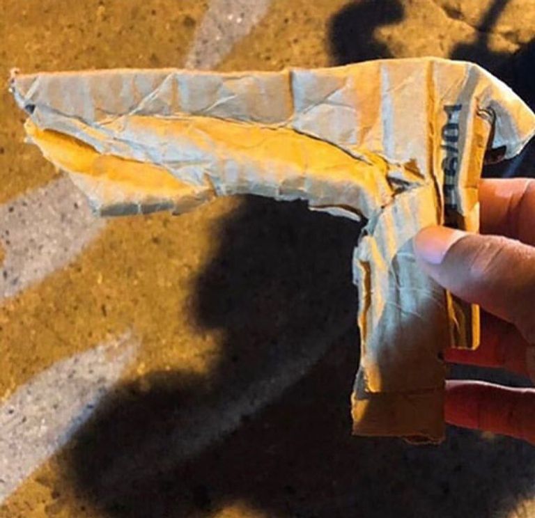 بطلة الفنون القتالية البرازيلية بوليانا فيانا