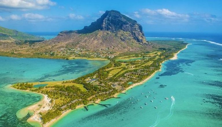 إحدى غابات جزيرة موريشيوس - صورة أرشيفية