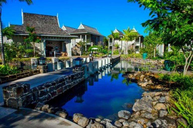 إحدى غابات جزيرة موريشيوس - صورة أرشيفية