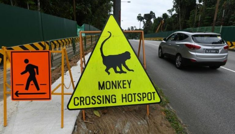 إشارة المرور تنبه السائقين إلى إمكان مرور حيوانات على الطريق