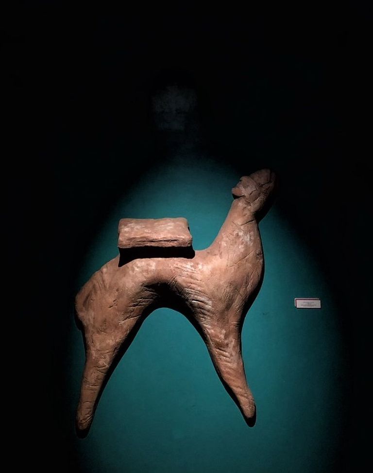 الشيخ سلطان القاسمي في جولة سابقة بمبنى هيئة الشارقة للآثار