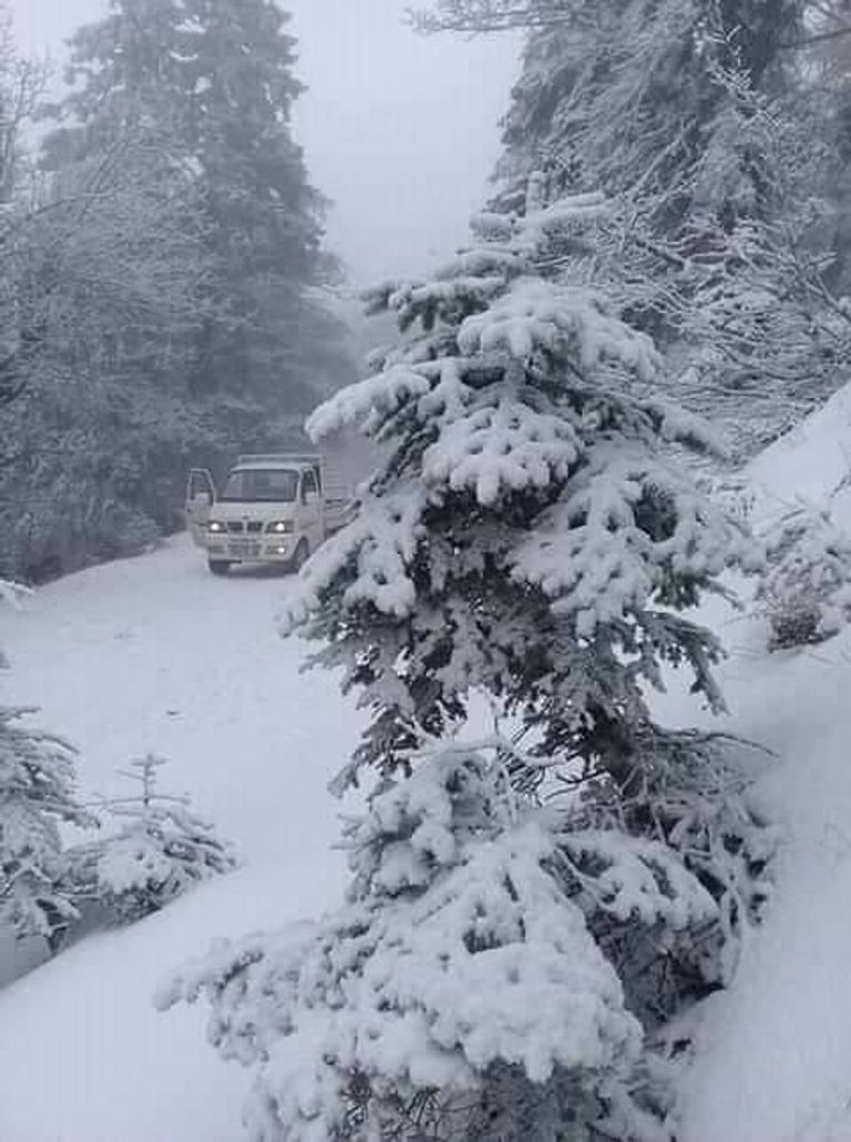 تساقط الثلوج في الجزائر