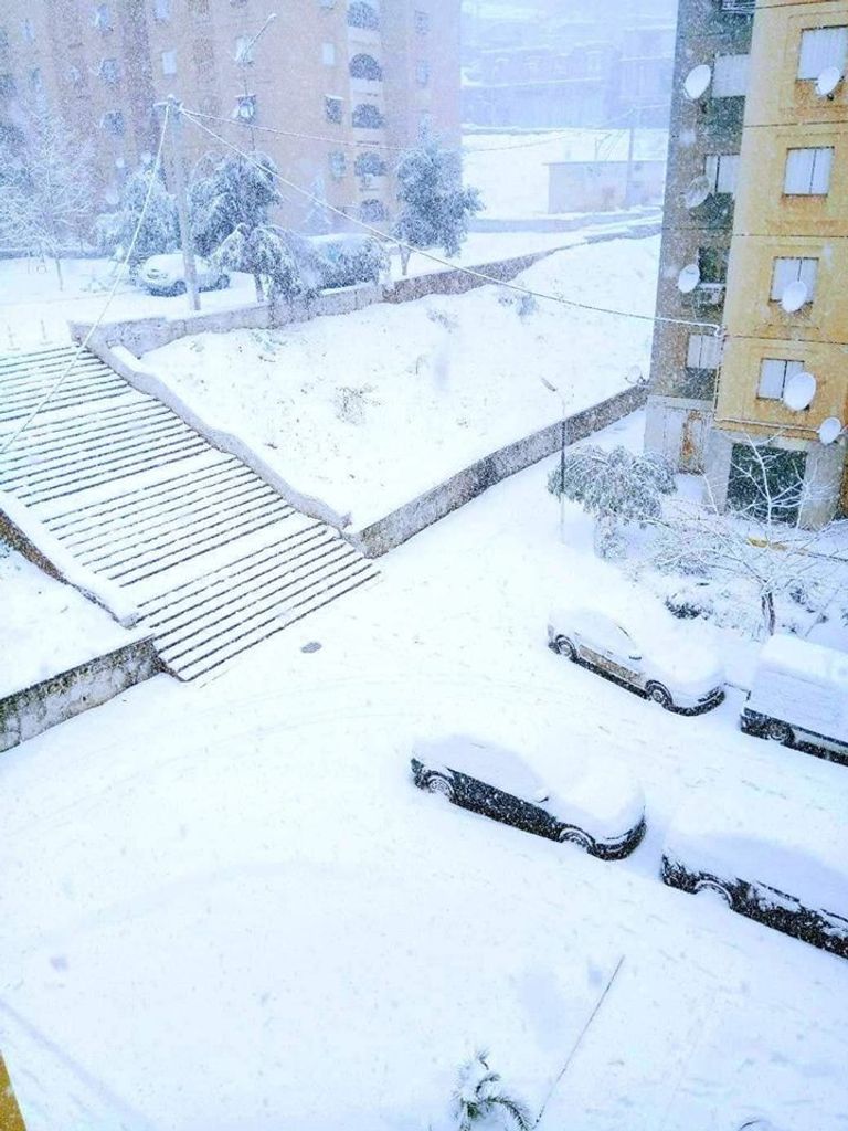 تساقط الثلوج في الجزائر