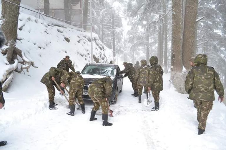 تدخل الجيش الجزائري