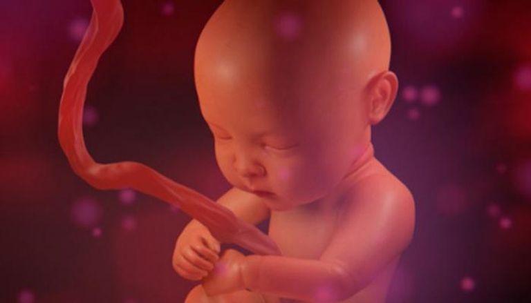 سويدية أول حامل في العالم بعد زراعة الرحم باستخدام روبوت