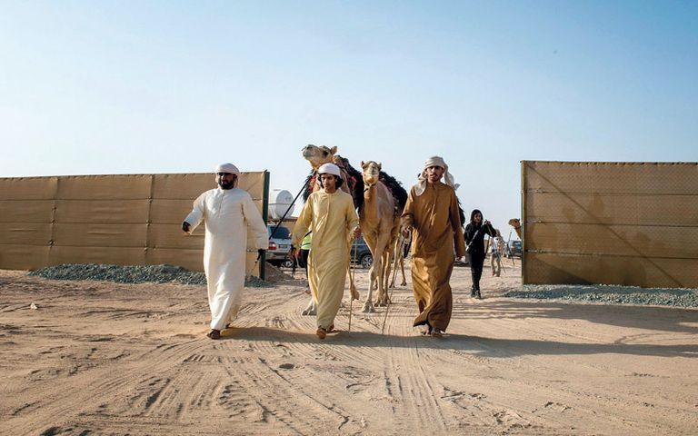 رحلة الهجن في صحراء الإمارات- أرشيفية