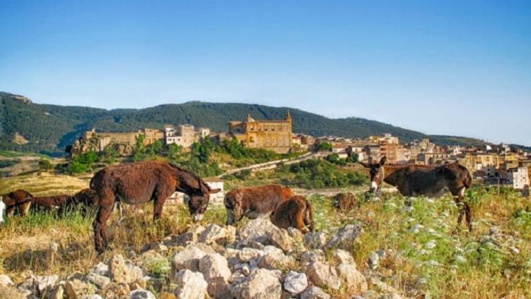 مدينة سامبوكا - صورة أرشيفية