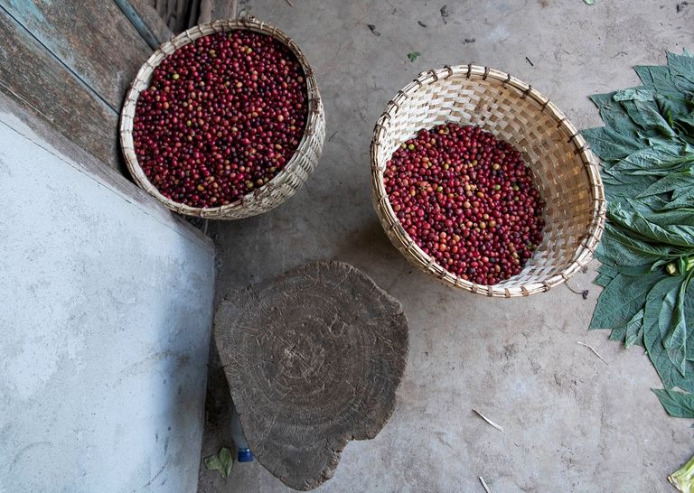 كوب قهوة - صورة أرشيفية