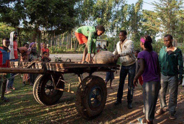 كوب قهوة - صورة أرشيفية