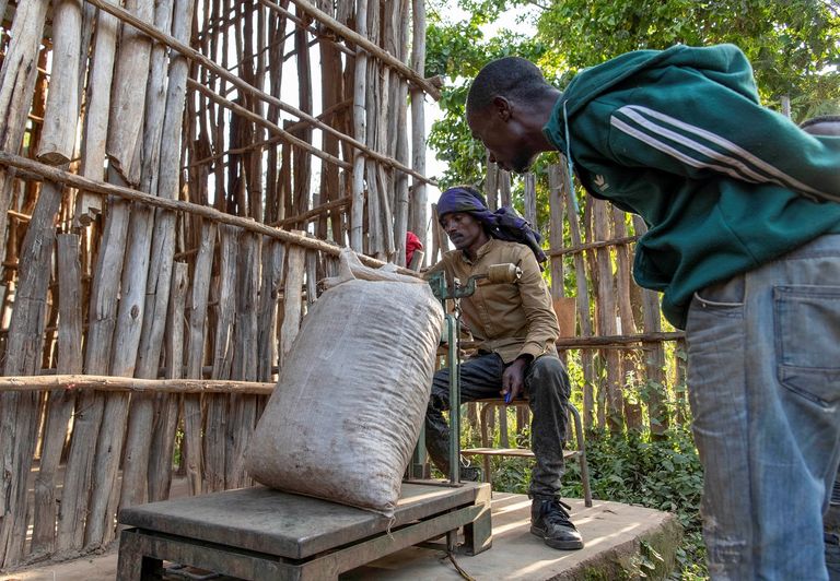 كوب قهوة - صورة أرشيفية