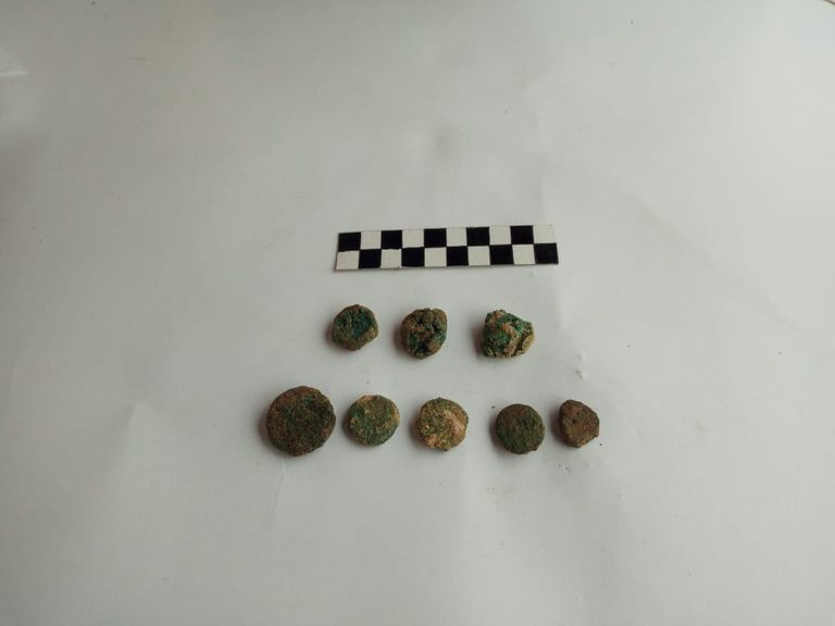 إحدى القطع المكتشفة في العامرية