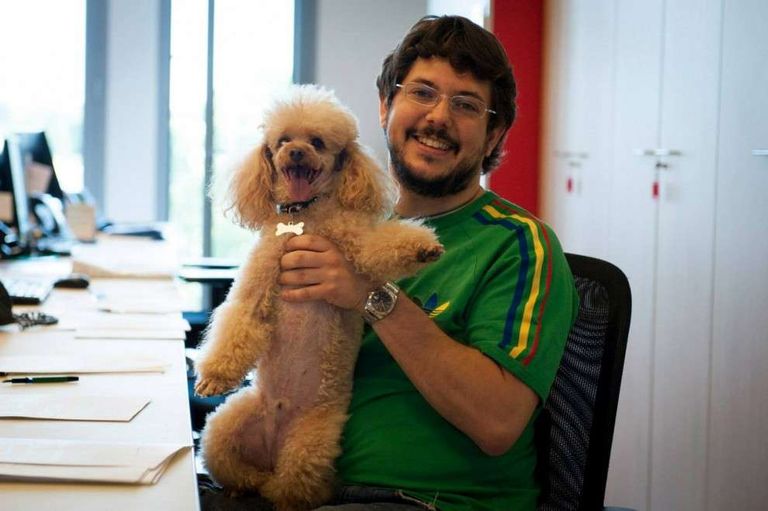 بنك في إيطاليا يسمح لموظفيه بإحضار الكلاب للعمل