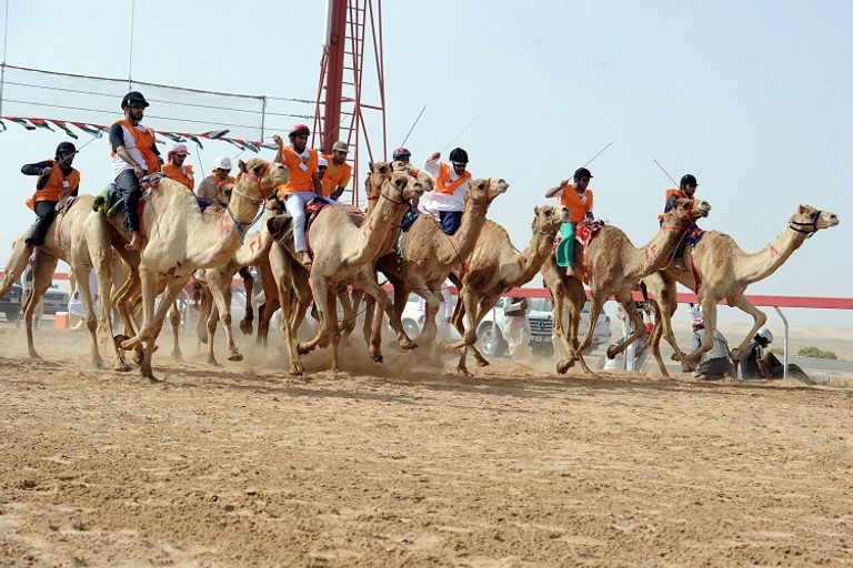 متسابقون بمهرجان سلطان بن زايد التراثي في دورات سابقة - أرشيفية