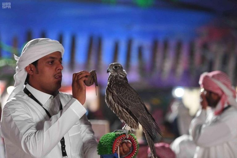 مهرجان الملك عبدالعزيز للصقور - أرشيفية