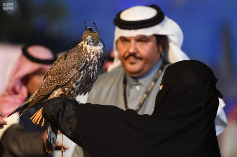 مهرجان الملك عبدالعزيز للصقور - أرشيفية
