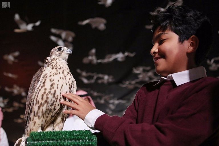 مهرجان الملك عبدالعزيز للصقور - أرشيفية