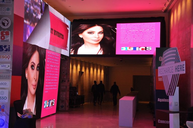 إليسا في الحفل الخيري بالقاهرة