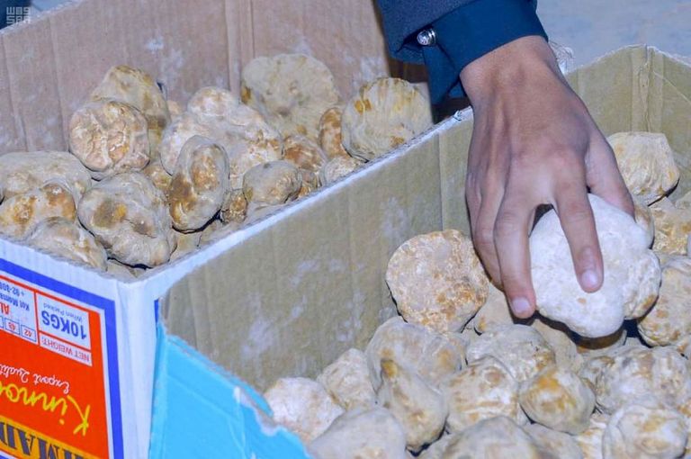 إقبال على شراء نبات فقع العرعر