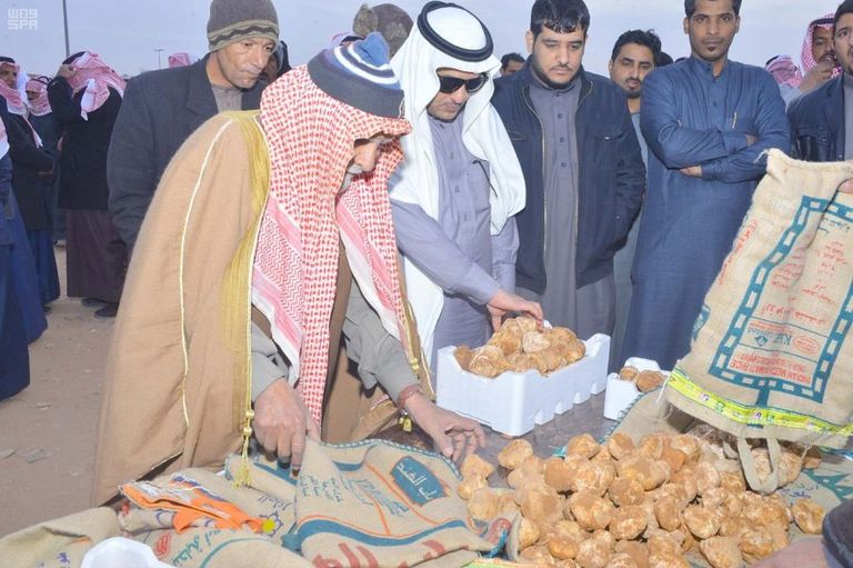إقبال على شراء نبات فقع العرعر