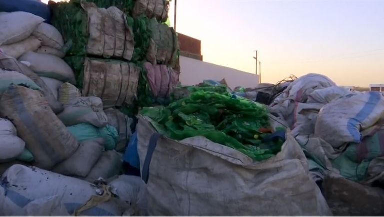  مصنع مصري يحول زجاجات البلاستيك إلى بدائل للقطن