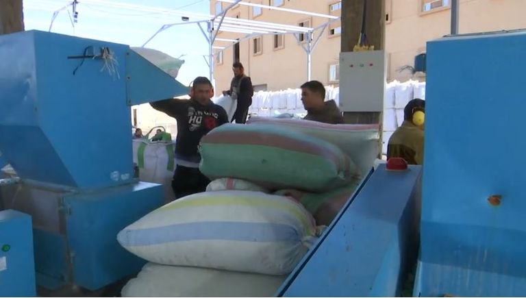  مصنع مصري يحول زجاجات البلاستيك إلى بدائل للقطن