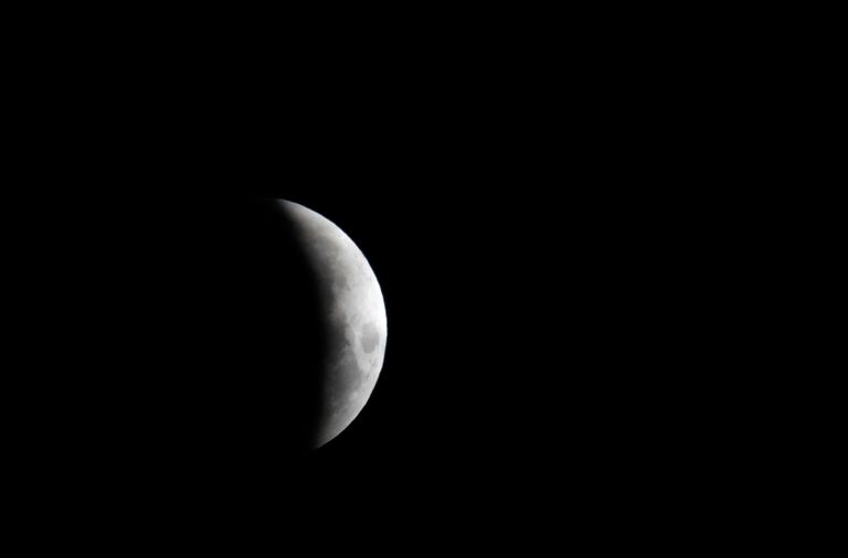 العالم يتابع ظاهرة