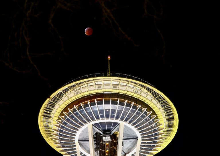 العالم يتابع ظاهرة