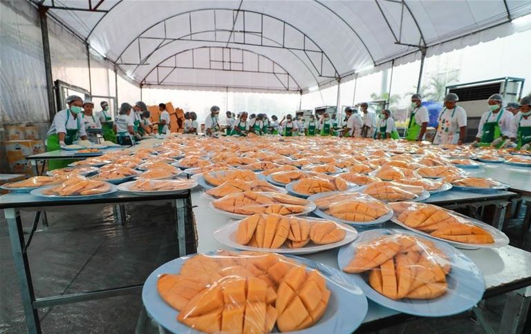 مأدبة الأرز اللزج بالمانجو