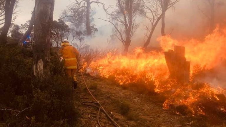 انقطاع الكهرباء في أستراليا 