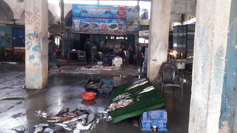 صيادو غزة.. معاناة متواصلة أمام بحر يضيق بأرزاقهم