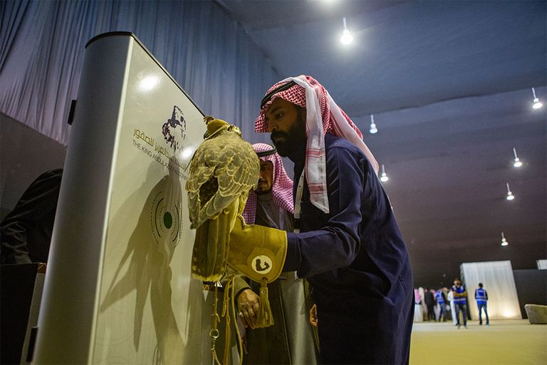 انطلاق مهرجان الملك عبدالعزيز للصقور في دورته الأولى