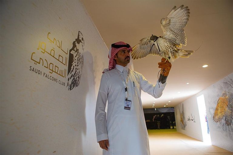 انطلاق مهرجان الملك عبدالعزيز للصقور في دورته الأولى