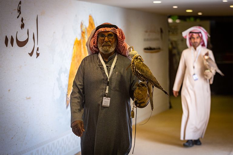 انطلاق مهرجان الملك عبدالعزيز للصقور في دورته الأولى