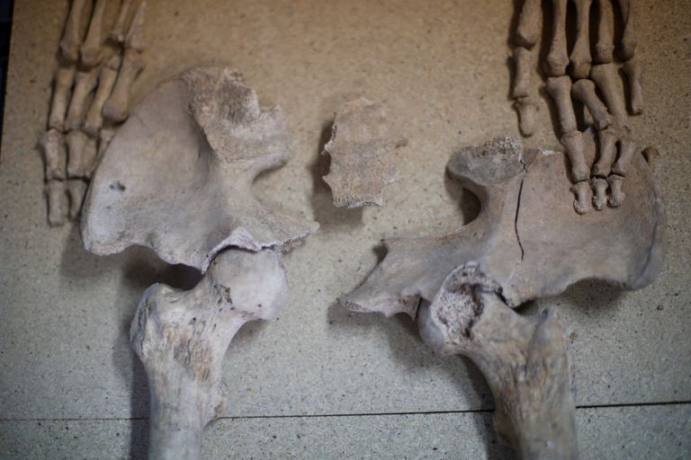 بعض الآثار المكتشفة داخل المقبرة الرومانية