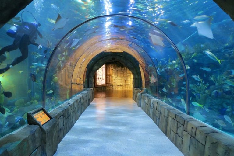 جزيرة ماوي في هاواي 