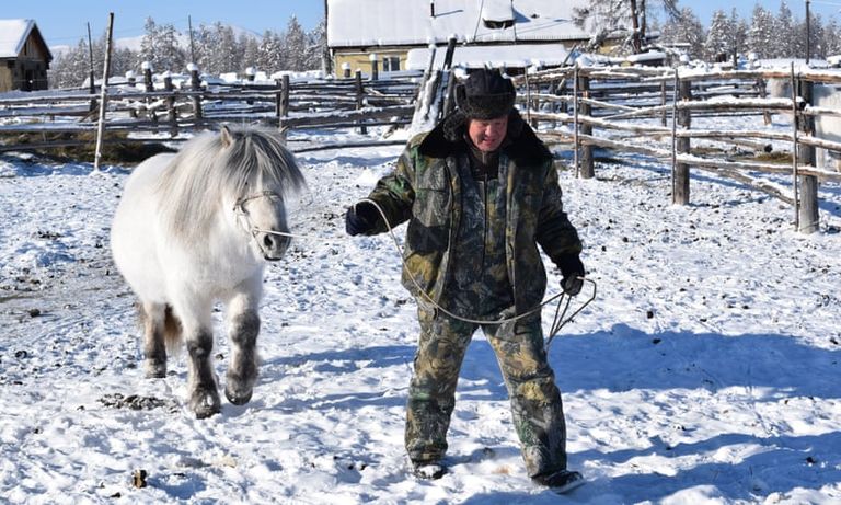 أصقع 5 وظائف في العالم.. أبرزها مدير مخازن تبريد