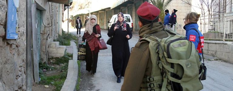 قوة المراقبة الدولية المؤقتة