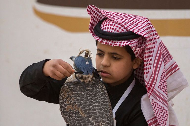 منافسات قوية في اليوم الرابع لمهرجان الصقور